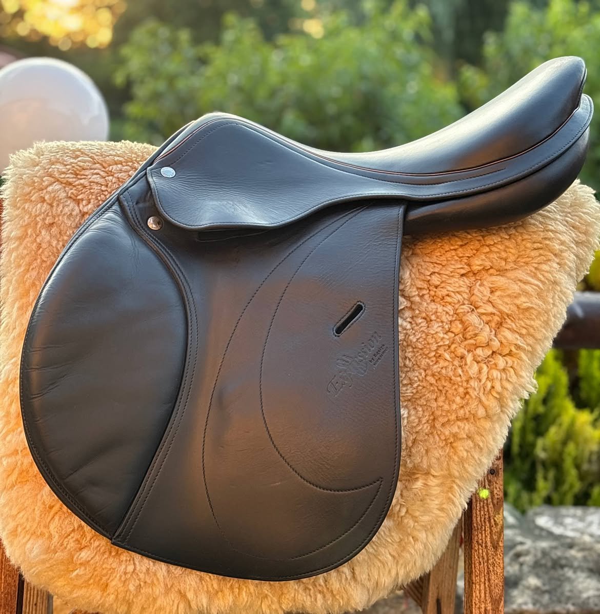 Selle Equipe Expression